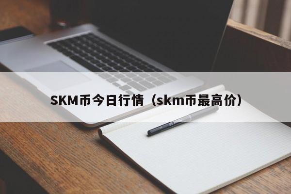 SKM币今日行情(skm币最高价)