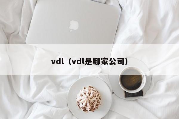 vdl(vdl是哪家公司)