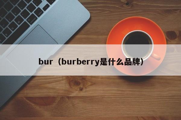 bur(burberry是什么品牌)