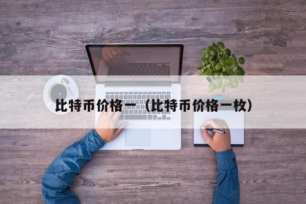 比特币价格一(比特币价格一枚)