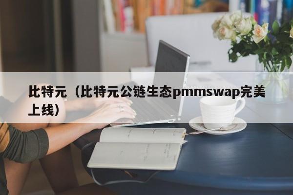 比特元(比特元公链生态pmmswap完美上线)