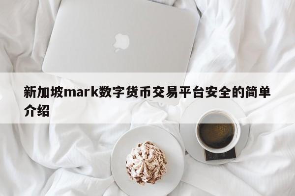 新加坡mark数字货币交易平台安全的简单介绍